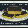 Lamington cakes.