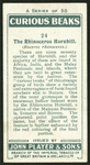 Rhinoceros-hornbill.