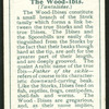 Wood-ibis.
