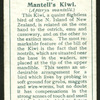 Mantell's kiwi.