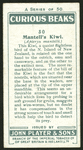 Mantell's kiwi.