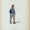Koningryk der Nederlanden. 7, 8 en 9-e Bataillons. Land Nederlands Infanterie.  (1814)