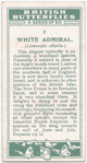 White admiral.