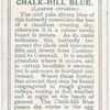 Chalk-hill blue.