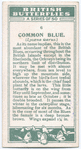 Common blue.