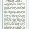 Holly blue.