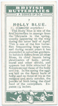 Holly blue.