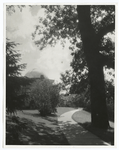 Unidentified college grounds