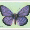 Mazarine blue.