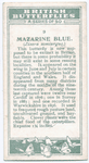 Mazarine blue.