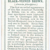 Black-veined brown.