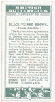 Black-veined brown.