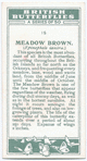 Meadow brown.