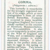 Comma.