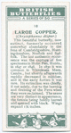 Large copper.