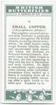 Small copper.