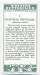 Glanville fritillary.