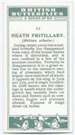 Heath fritillary.