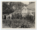 Freshmen at greenhouse, U. [University] of Minnesota.