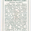 Marsh fritillary.