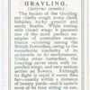 Grayling.