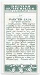 Painted lady.