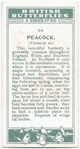 Peacock.