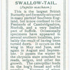Swallow-tail.