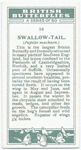 Swallow-tail.