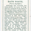 Bath white.