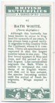 Bath white.