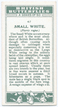 Small white.