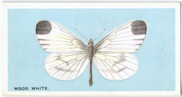 Index