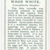 Wood white.
