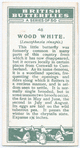 Wood white.