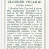 Clouded yellow.