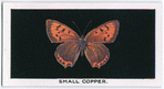 Small copper.