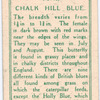 Chalk hill blue, male.