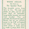 Wood argus.