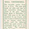 Small tortoiseshell.