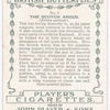 Scotch argus.