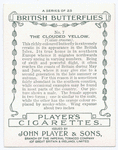 Clouded yellow.