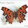 Comma.
