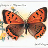 Small copper.