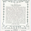 Grayling.