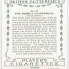 Purple hairstreak.