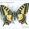 Swallow-tail.