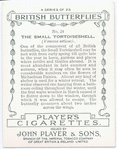 Small tortoiseshell.