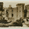 Raglan Castle.