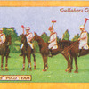 Robots Polo team.
